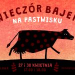 WB-NA-PASTWISKU-czarna-krowa copy